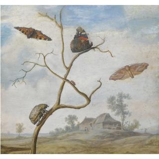 Margareta De Heer - A Cockchafer On A Branch, Two Butterflies, A Moth And A Small Beetle Above, And A Landscape Behind