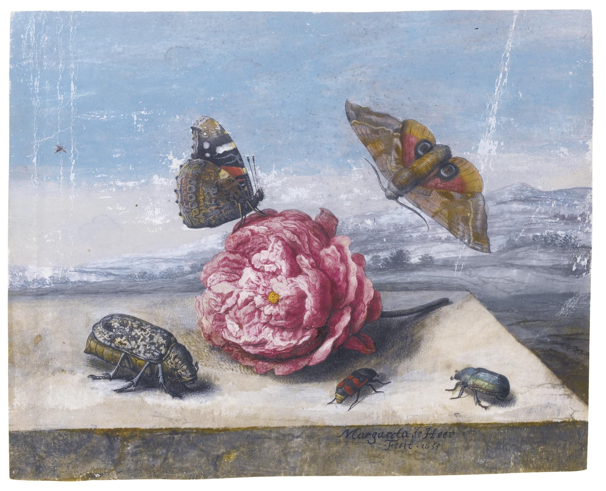 Margareta De Heer - Still Life With Insects Around A Rose On A Stone Ledge