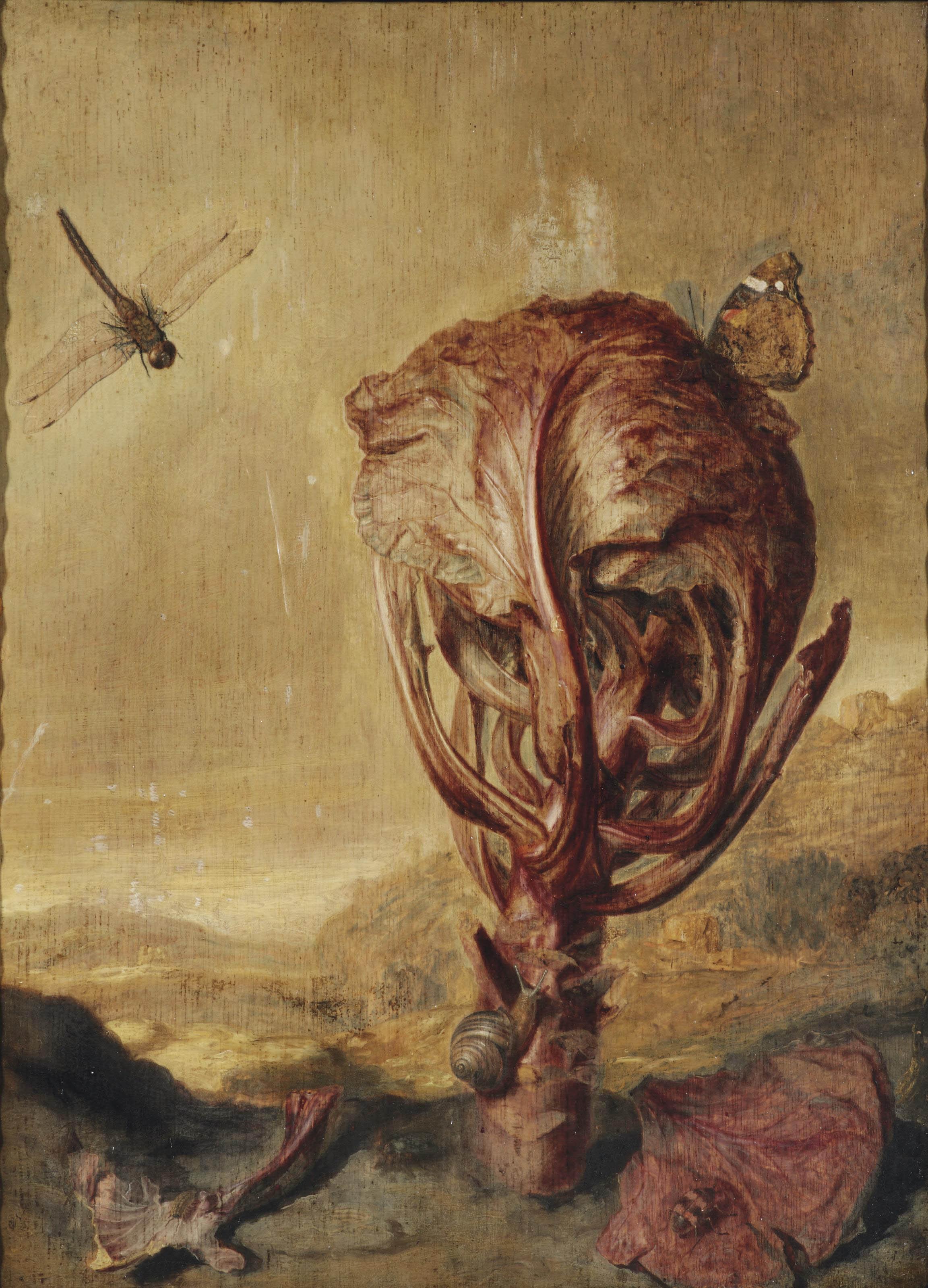 Margaretha de Heer - A red cabbage, a snail, a butterfly, a dragonfly, a bee and a wood louse, in a landscape