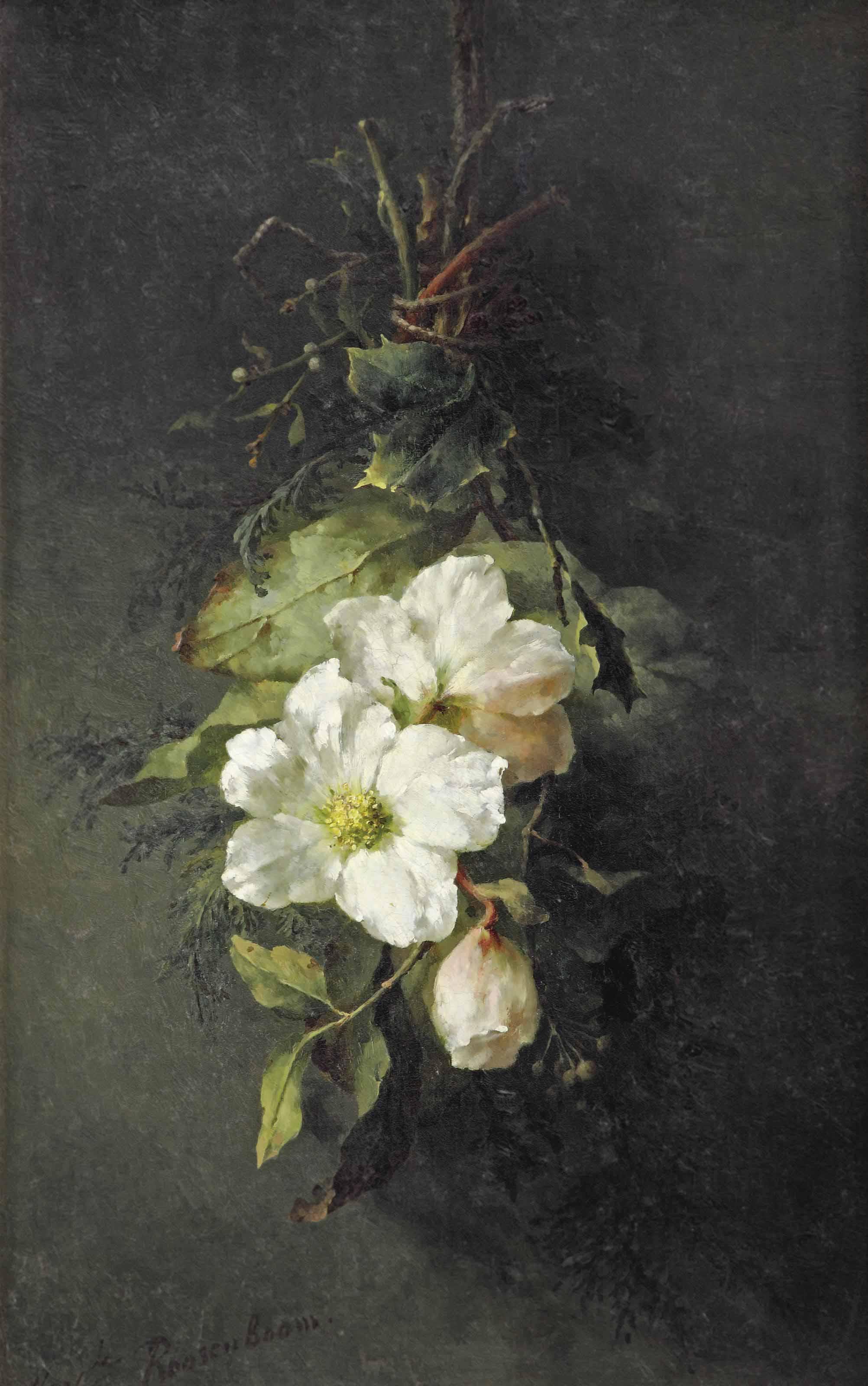 Margaretha Roosenboom - A swag of wild white roses