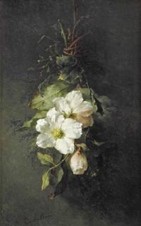 Margaretha Roosenboom - A swag of wild white roses