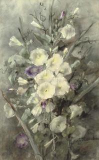 Margaretha Roosenboom - Purple and white field bindweed