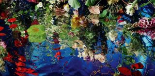 Margriet Smulders - Asklepios