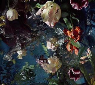 Margriet Smulders - For Jan van Huysum II