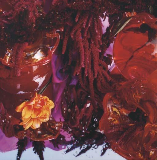 Margriet Smulders - Gaja