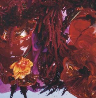 Margriet Smulders - Gaja