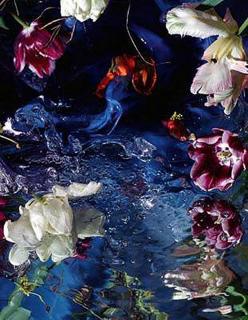 Margriet Smulders - La volupte pure