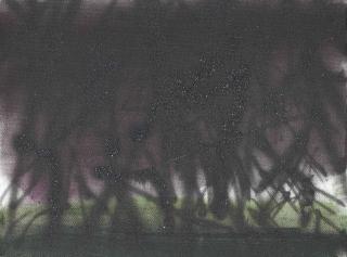 Mari Eastman - Nikko Woods @ Night