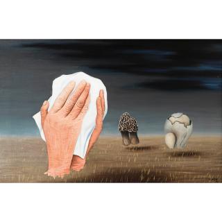 Maria Cerminova Toyen - Un Jour Triste