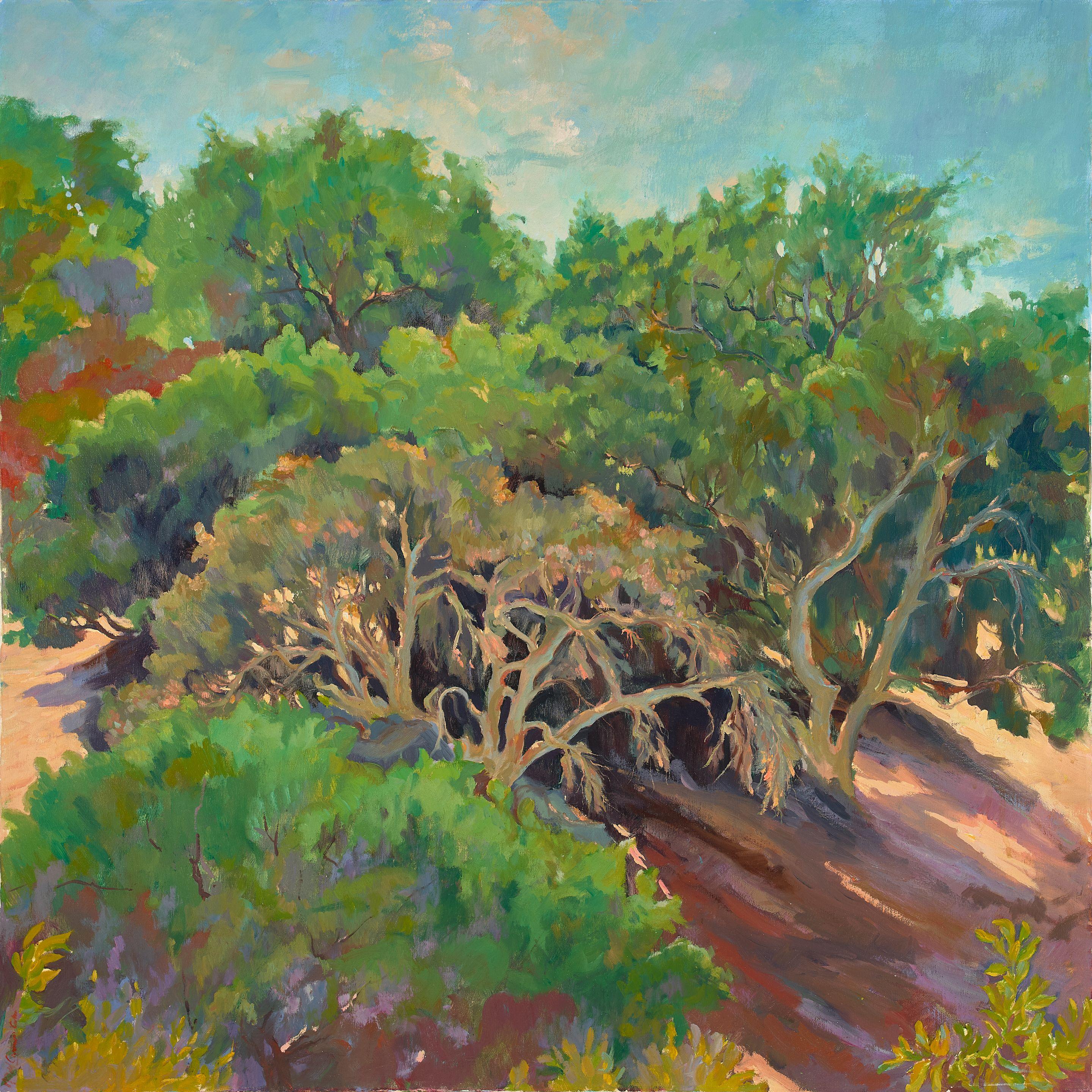 Maria Del Carmen Calvo - A Grove of Trees 40 x 40 in. unframed