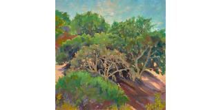 Maria Del Carmen Calvo - A Grove of Trees 40 x 40 in. unframed