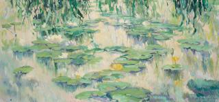 Maria Del Carmen Calvo - Lily Pads