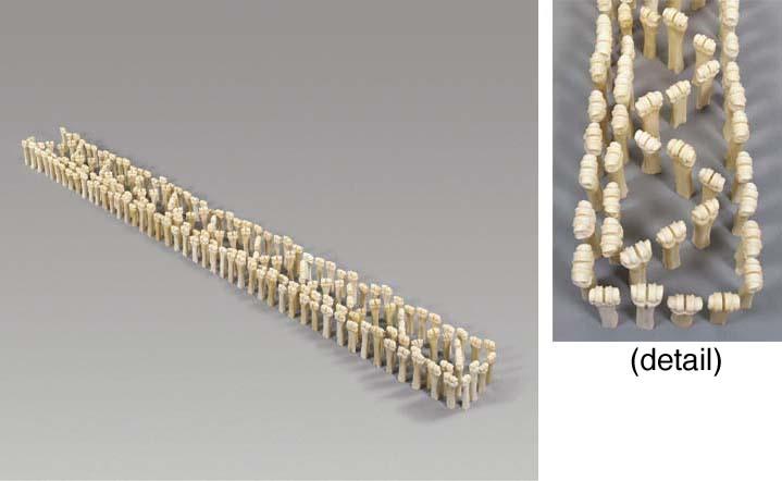 Maria Fernanda Cardoso - American Marble