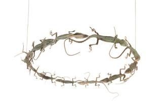 Maria Fernanda Cardoso - Corona para una princesa Chibcha