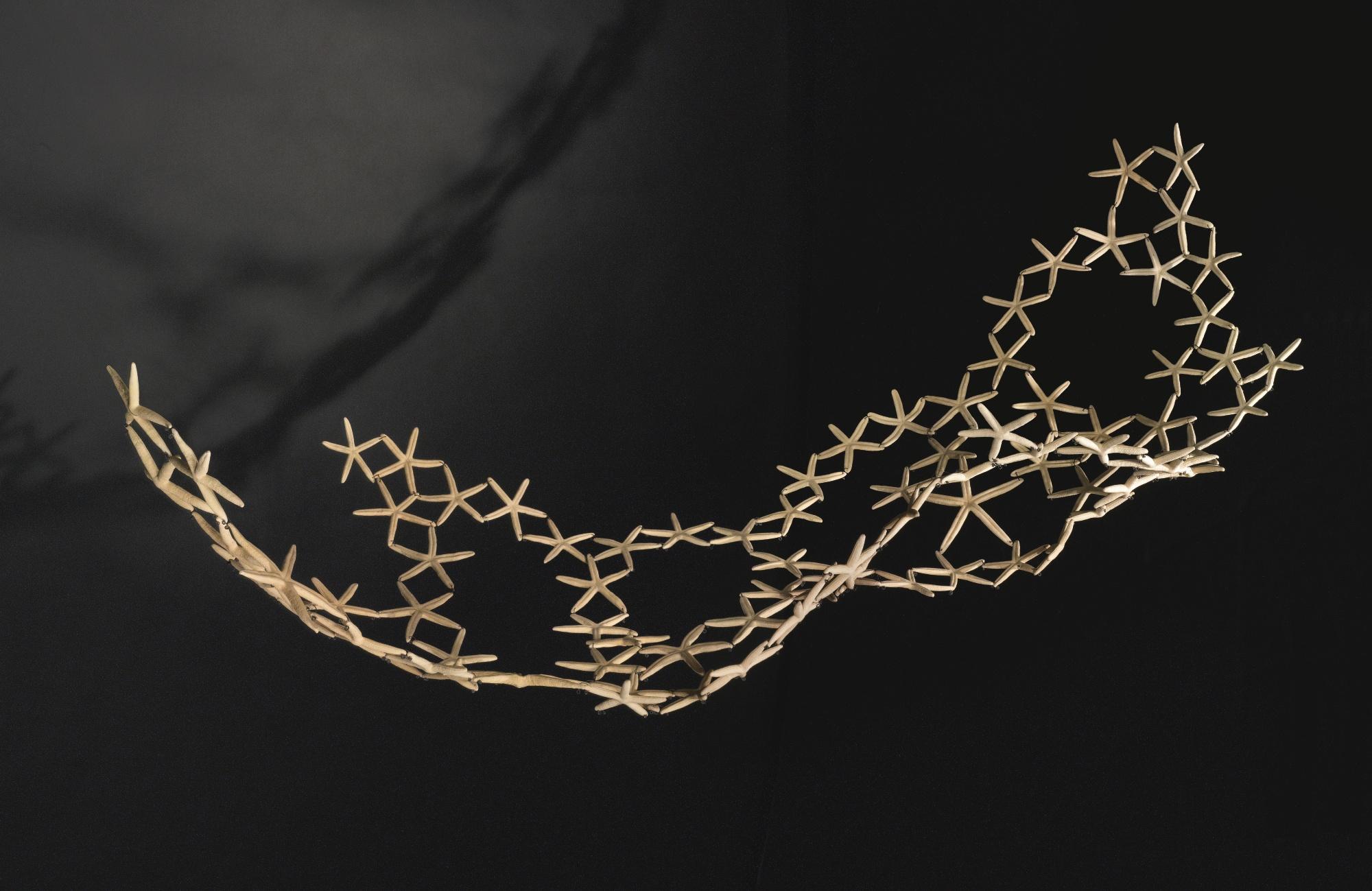 María Fernanda Cardoso - Estrellas De Mar