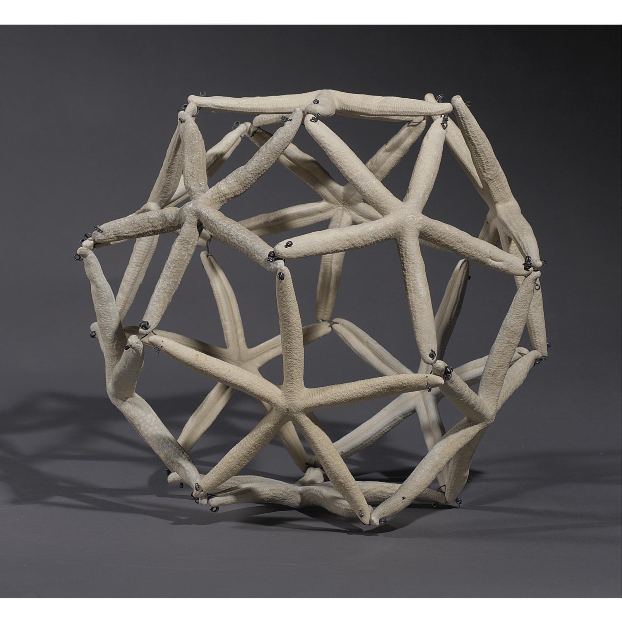 Maria Fernanda Cardoso - Starfish Ball