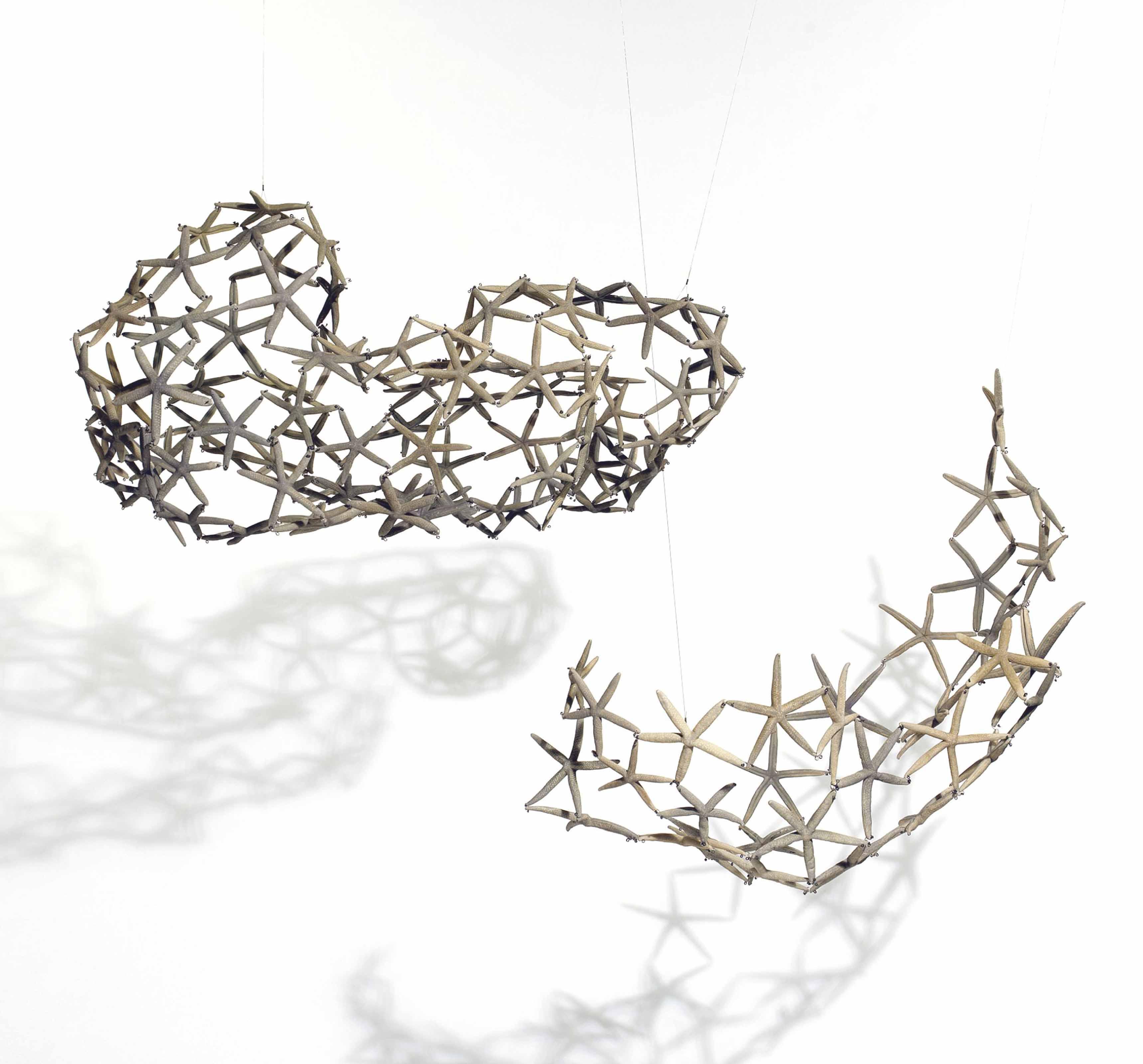 María Fernanda Cardoso - Woven Water