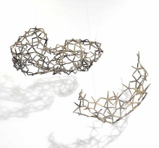 María Fernanda Cardoso - Woven Water