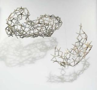 Maria Fernanda Cardoso - Woven water