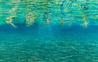 Maria Filopoulou - Nageurs