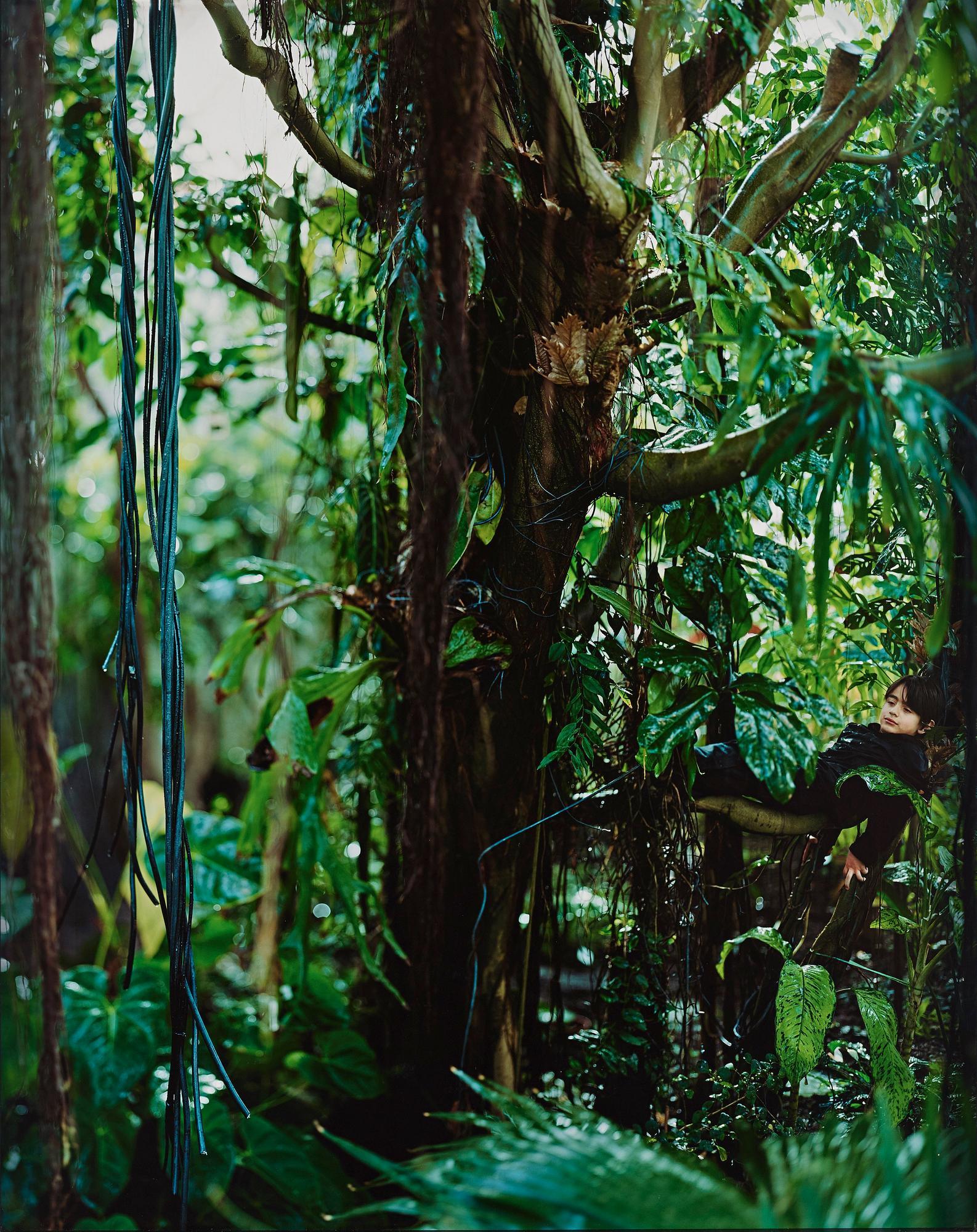 Maria Friberg - \'Days of Eyes 1\', 2014