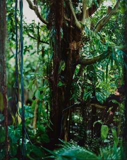 Maria Friberg - \'Days of Eyes 1\', 2014