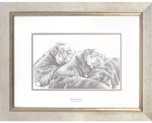 Maria Heskins, R.C.A. - Meditations, Rottweiler Puppies