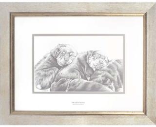 Maria Heskins, R.C.A. - Meditations, Rottweiler Puppies