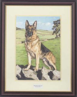 Maria Heskins, R.C.A. - Waiting for you, an obedient German shepherd