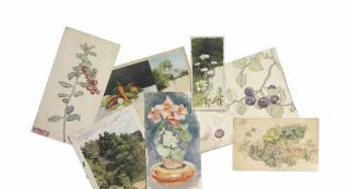 Maria Iakunchikova - Cowberry Plant