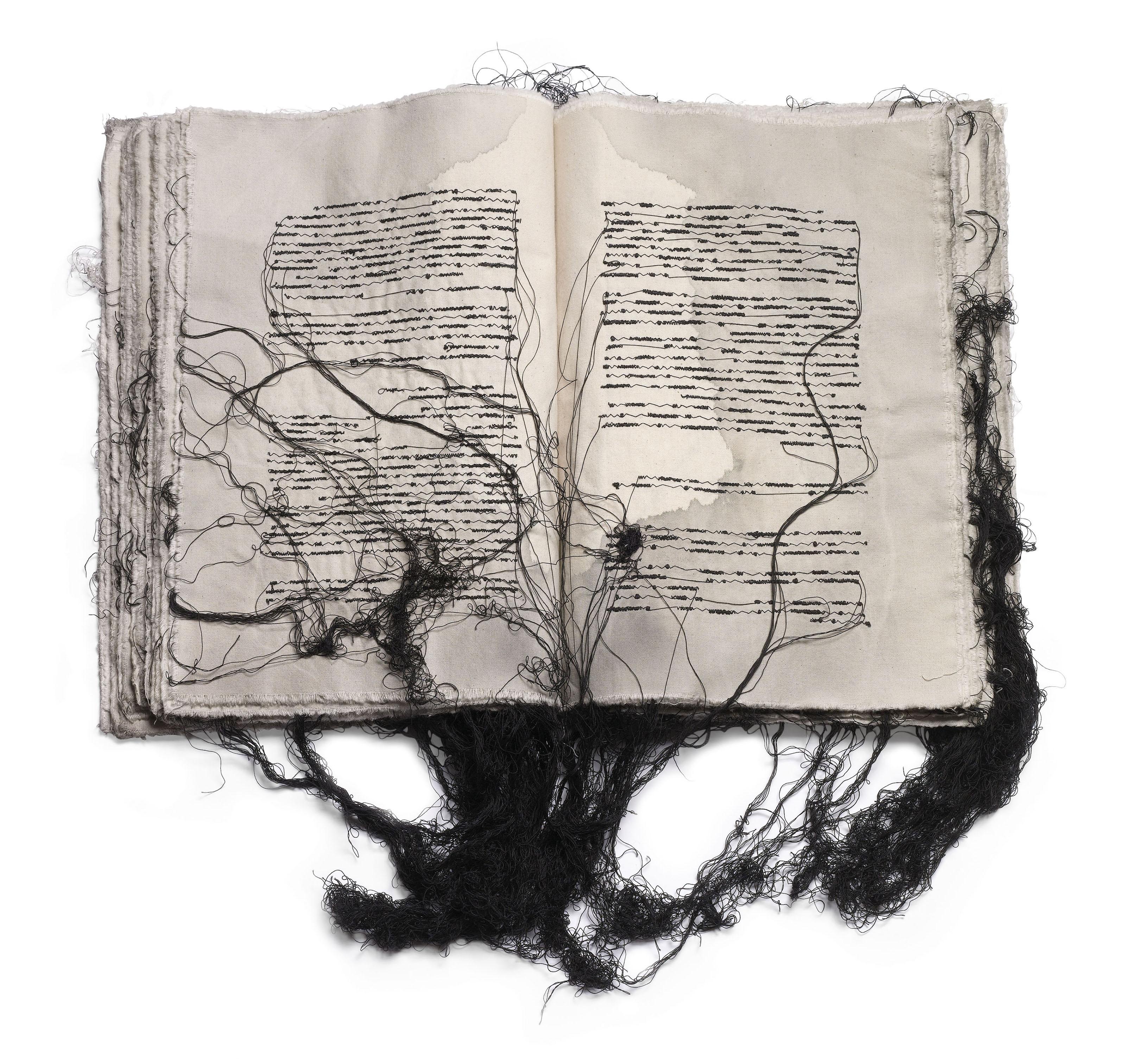 Maria Lai - Al volger della spola