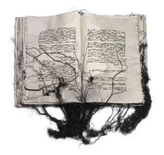 Maria Lai - Al volger della spola