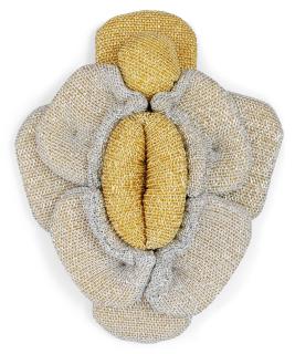 Maria Miesenberger - \