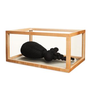 Maria Miesenberger - \