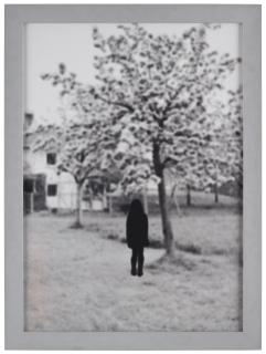 Maria Miesenberger - \