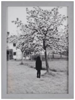 Maria Miesenberger - \