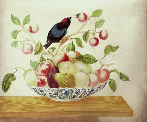 Maria Sybilla Merian - Still life with a Bee-eater perched a branch arranged in a Delft bowl with cherries, pears, apples, peaches and figs