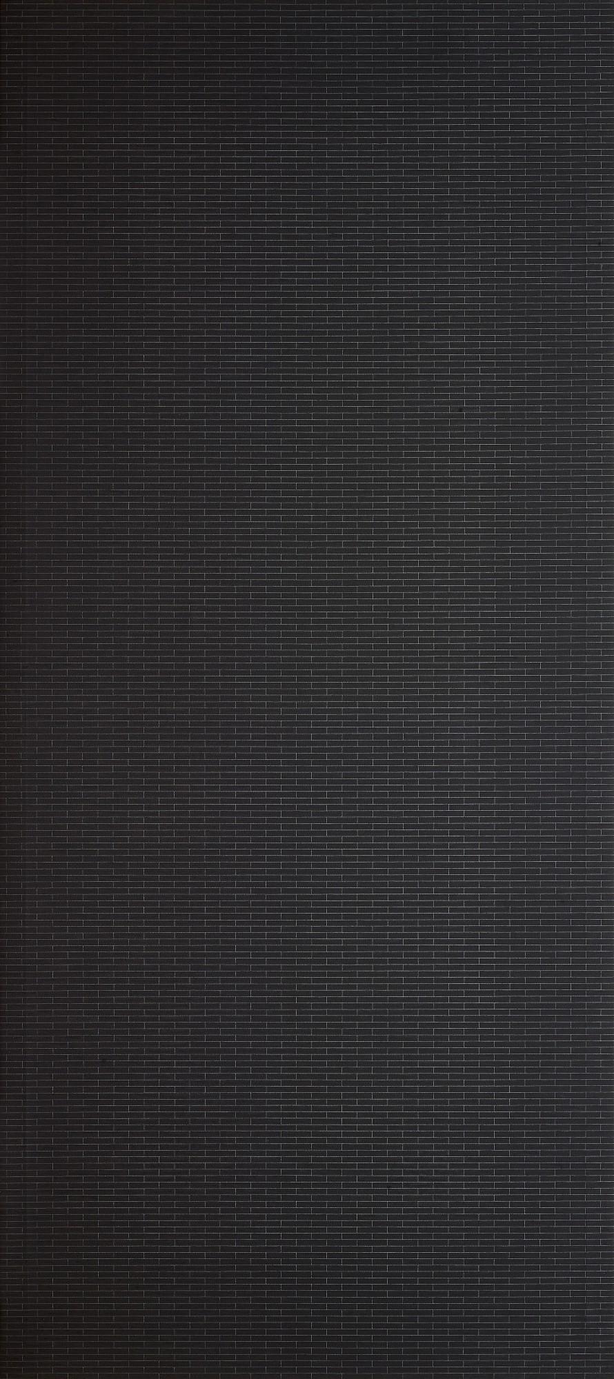 Maria Taniguchi - Untitled