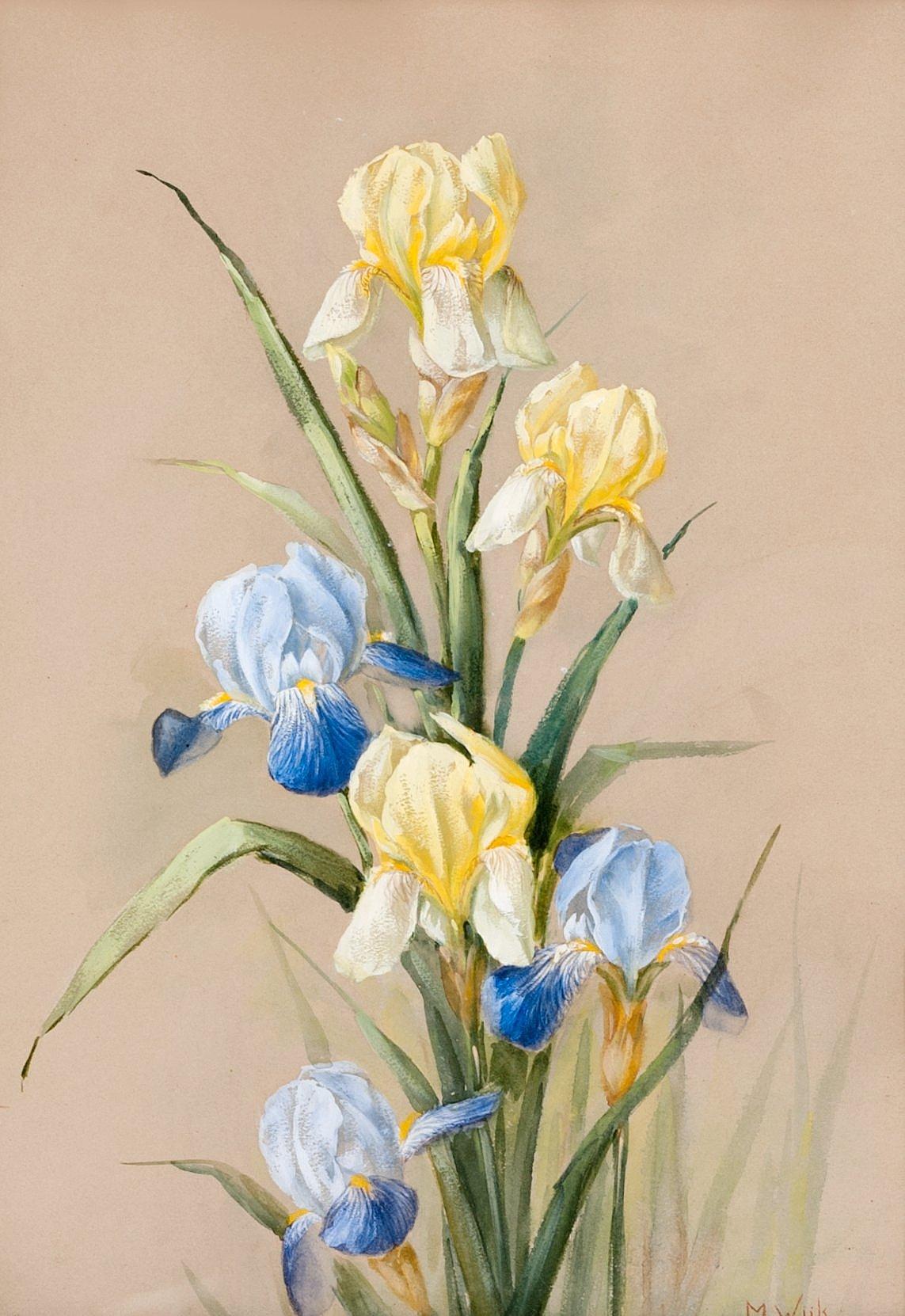 Maria Wiik - Irises.