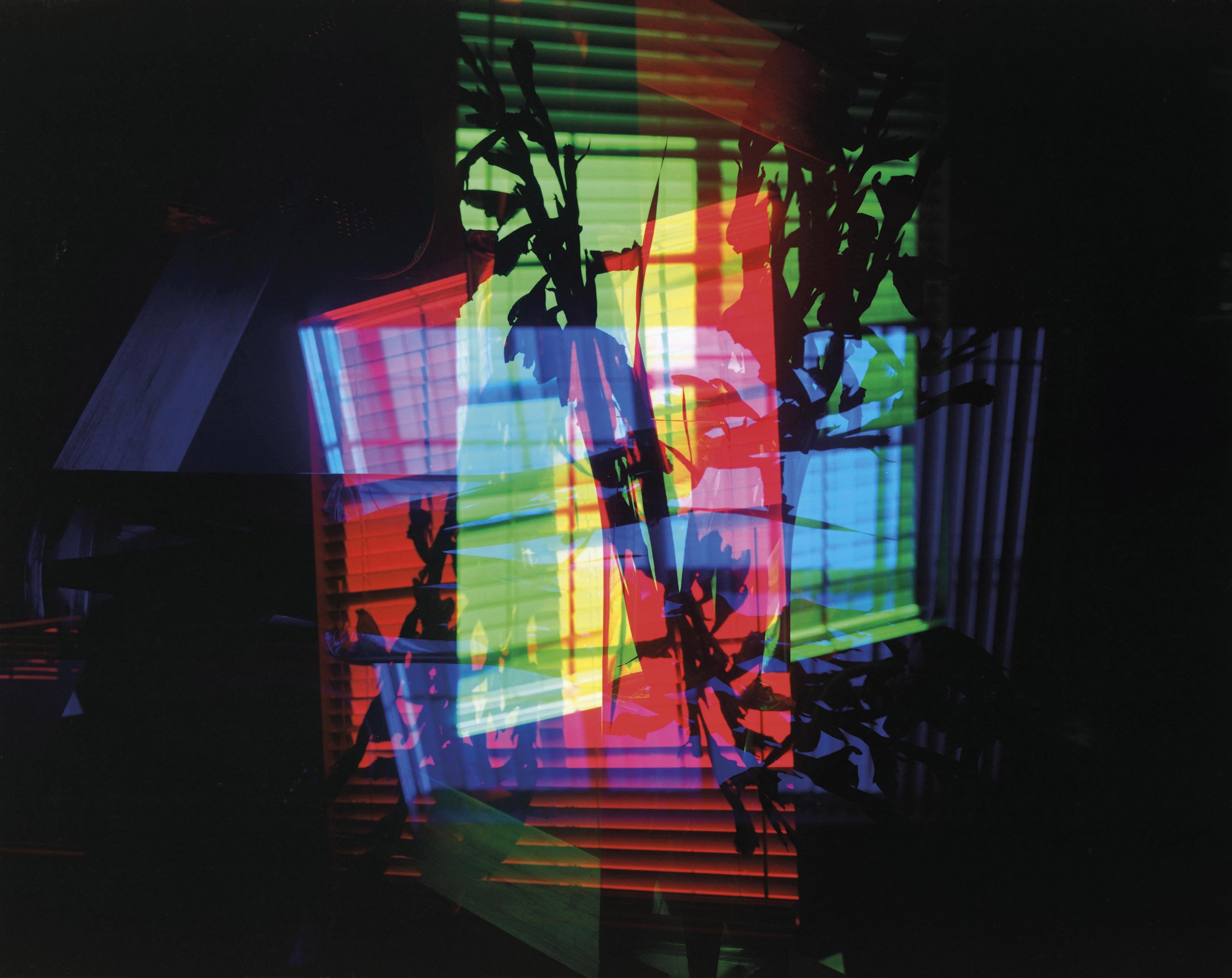 Mariah Robertson - Gladiola Window RGB#1