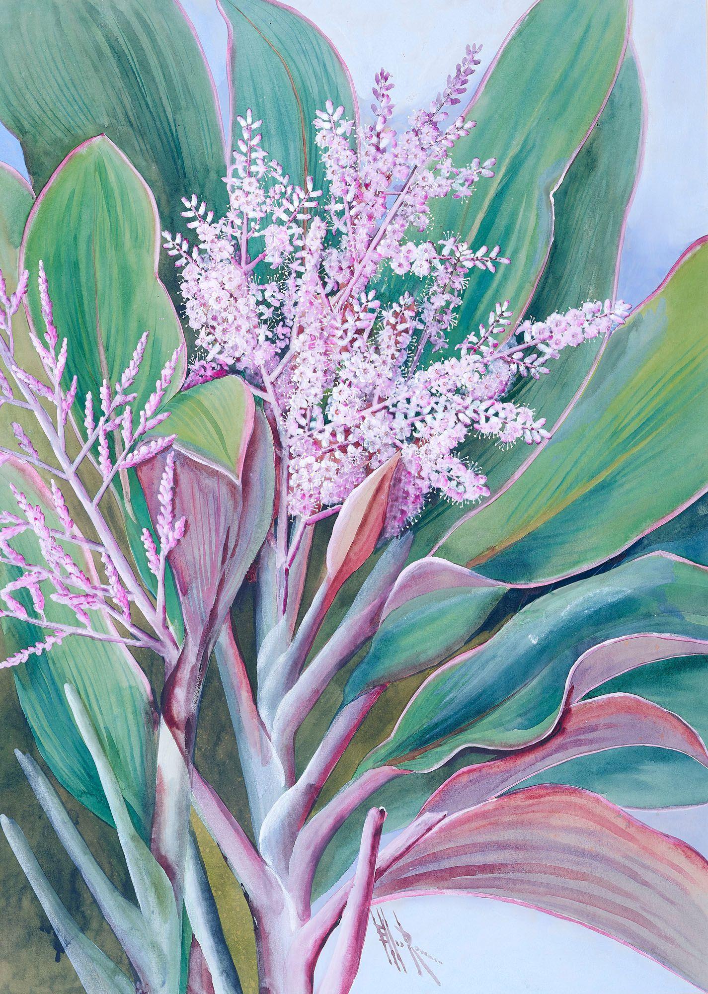 Marian Ellis Rowan - Untitled (Flowering Cordylines)