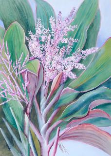 Marian Ellis Rowan - Untitled (Flowering Cordylines)