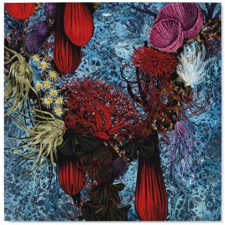 Mariana Palma - Untitled