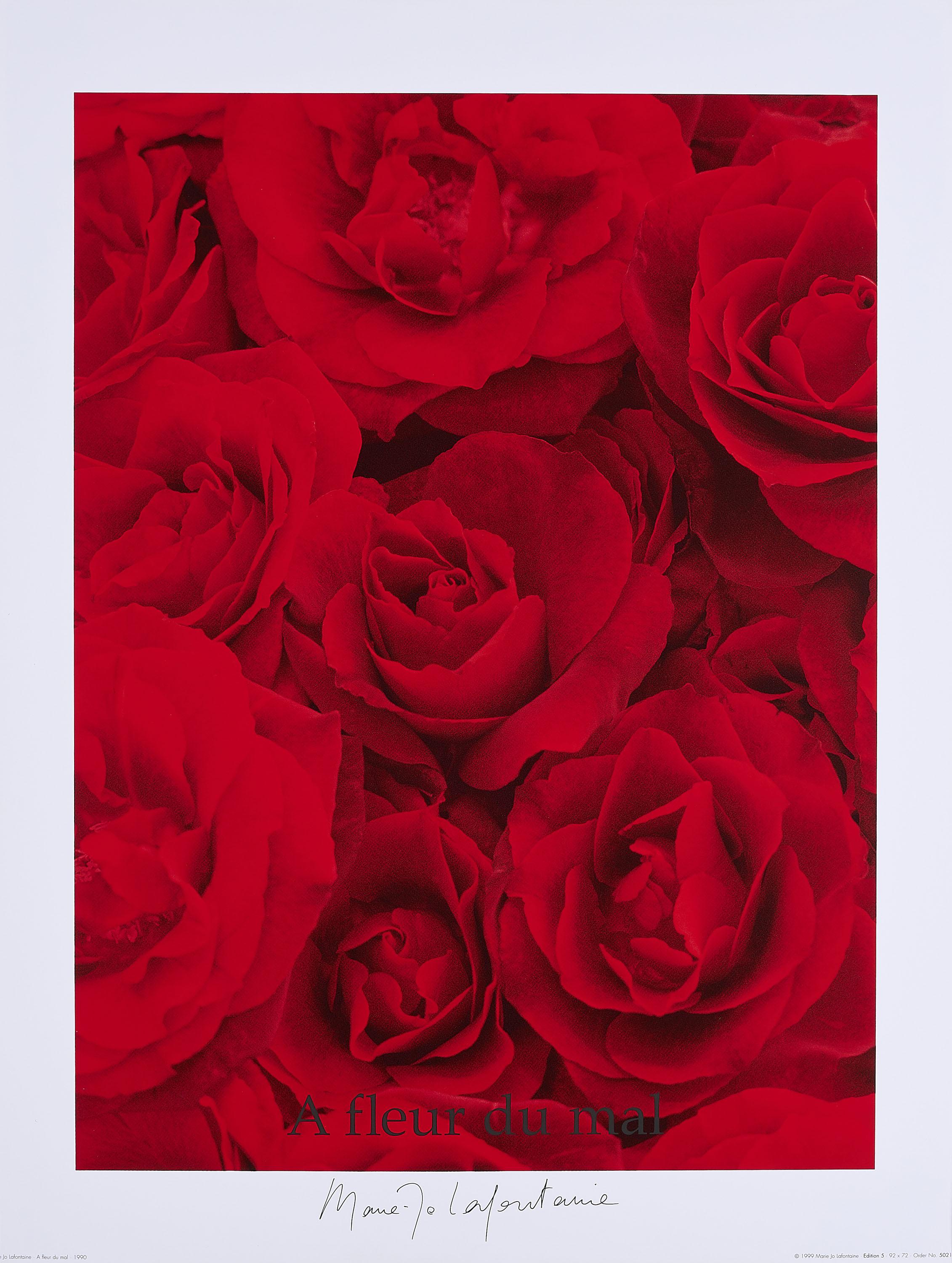 Marie-Jo Lafontaine - A fleur du mal.