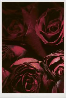 Marie Jo Lafontaine - Untitled