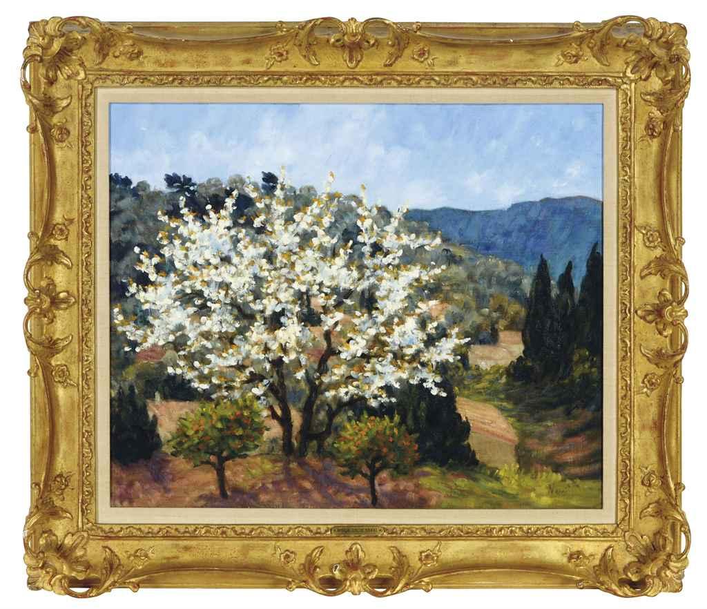 Marie-Lucie Nessi-Valtat - A white blossom tree in Provence