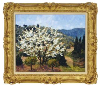Marie-Lucie Nessi-Valtat - A white blossom tree in Provence
