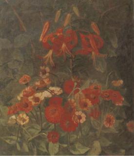 Marie Wandscheer - Lelies en zinnias