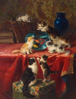 Marie Yvonne Laur - Curious cats and the goldfish bowl