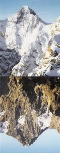 Marijke Van Warmerdam - Fake Lake